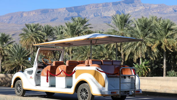 Tour privado de buggy vintage por Al Hamra - Foto 5