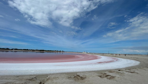 Tour panoramico del Parco Naturale Las Coloradas - Foto 5