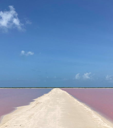 Foto de Tour panorámico por Las Coloradas