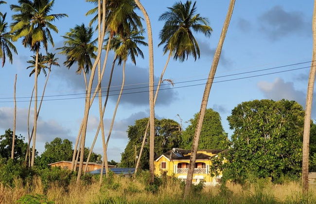 Visita guiada por Speightstown - Foto 3