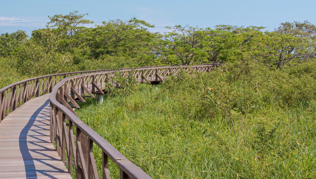 Tour por el Parque Histórico + Barco a la isla Santay - Foto 5