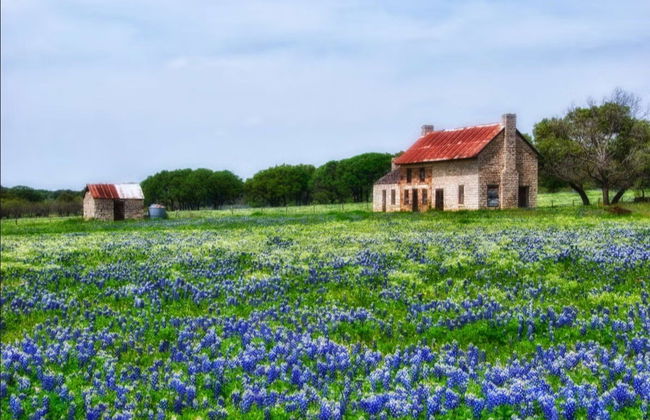 Excursión a Texas Hill Country - Foto 2