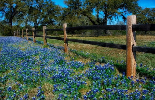 Excursión a Texas Hill Country - Foto 3