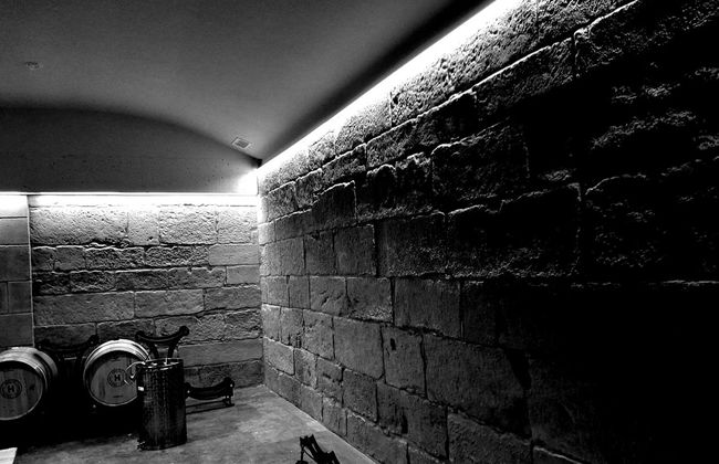 Visita a la bodega Hoplita - Foto 7