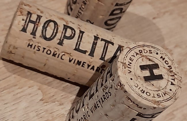 Visita a la bodega Hoplita - Foto 3