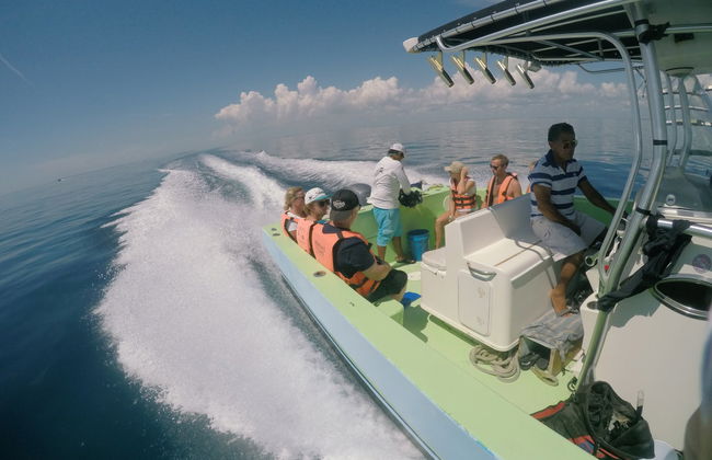 Nado con tiburones ballena - Foto 3
