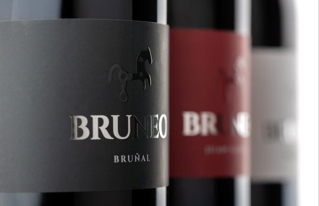 Visita a la bodega Bruneo - Photo 1