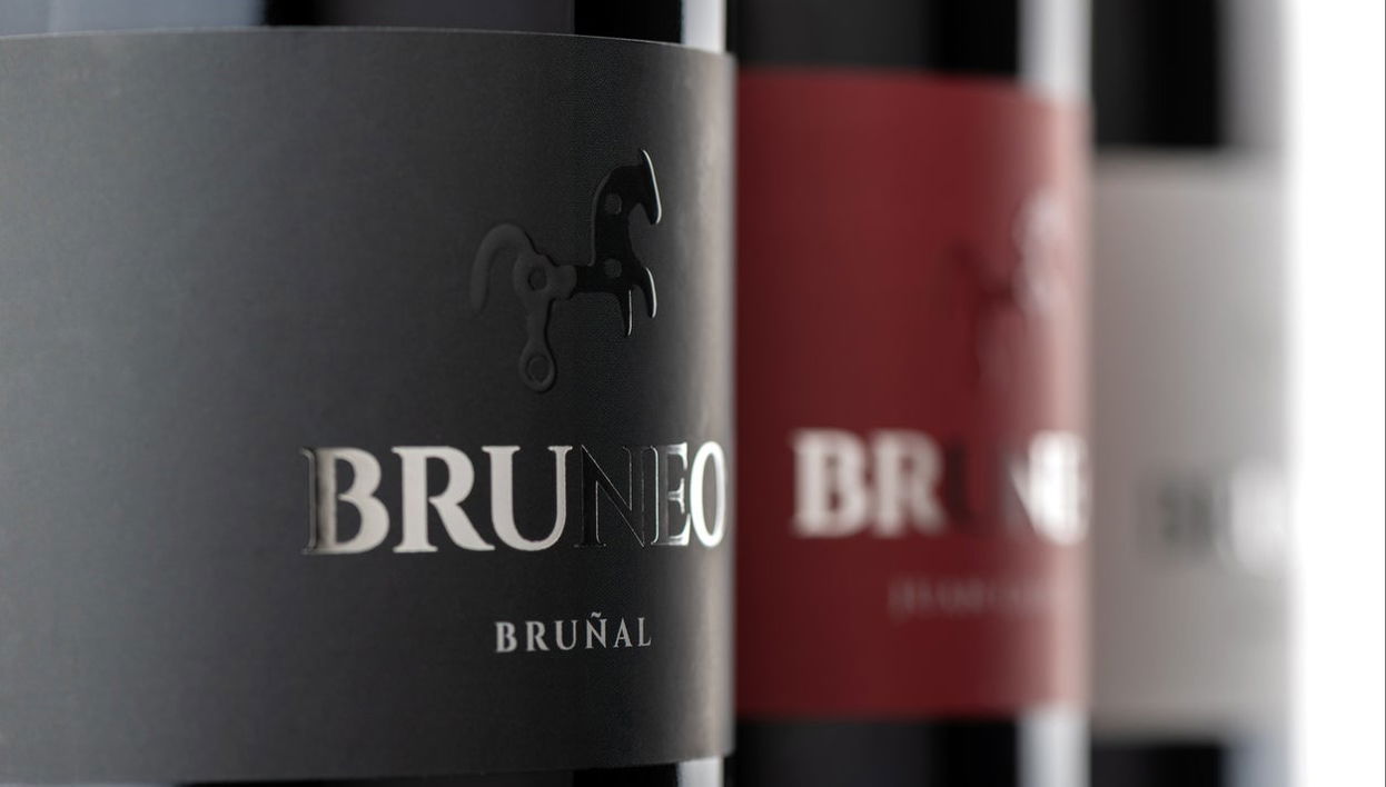 Visita alla cantina Bruneo - Foto 1