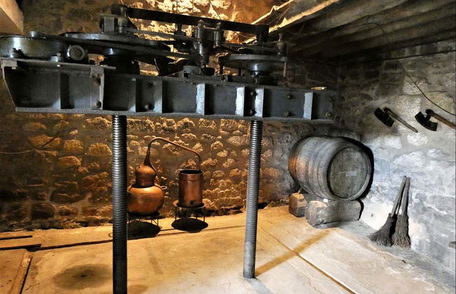 Visita a las bodegas J.F. Iradier - Foto 4