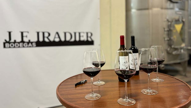 Visita a las bodegas J.F. Iradier - Foto 2
