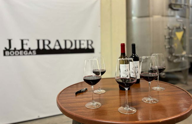 Visita a las bodegas J.F. Iradier - Foto 6