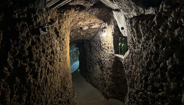 Visita a las bodegas J.F. Iradier - Foto 3