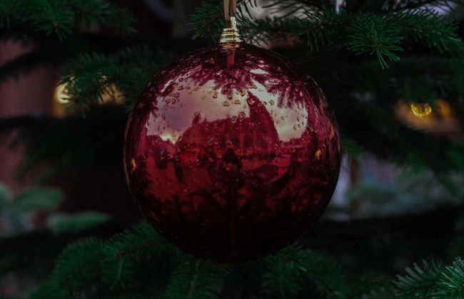 Freiburg Christmas Market Tour - Photo 7