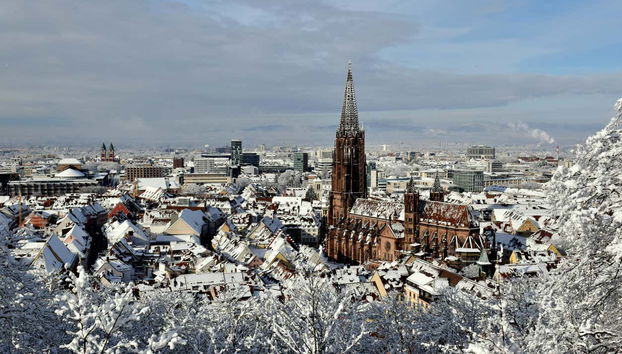Freiburg Christmas Market Tour - Photo 2