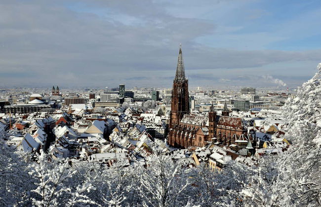 Freiburg Christmas Market Tour - Photo 2