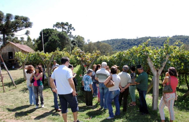 Maria Fumaça Train Ride + Tour of Aurora Winery - Photo 5