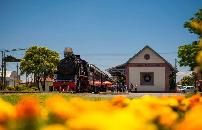 Maria Fumaça Train Ride + Tour of Aurora Winery - Photo 3