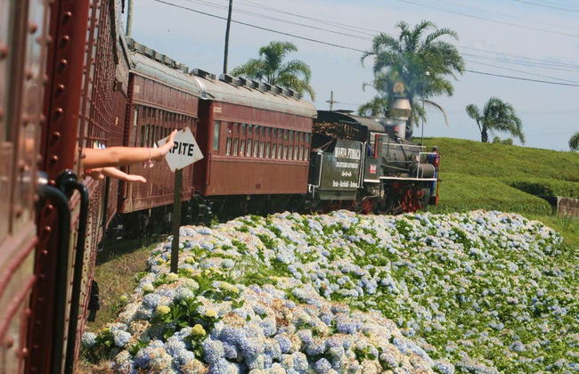 Maria Fumaça Train Ride + Tour of Aurora Winery - Photo 2