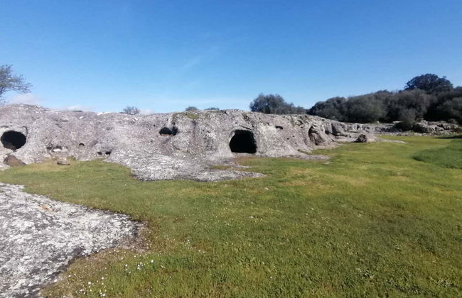 Escursione alla Necropoli di Puttu Codinu e al Nuraghe Appiu - Foto 2