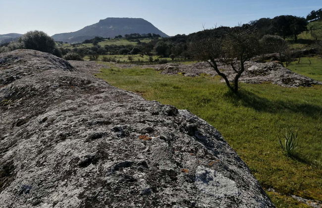 Escursione alla Necropoli di Puttu Codinu e al Nuraghe Appiu - Foto 3