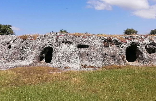 Escursione alla Necropoli di Puttu Codinu e al Nuraghe Appiu - Foto 5
