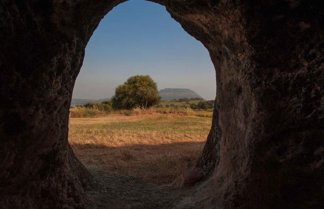 Excursion à la nécropole de Puttu Codinu et Nuraghe Appiu - Photo 6