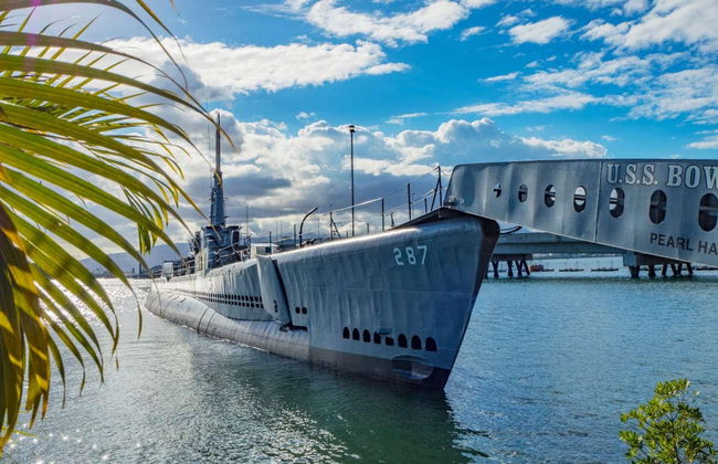 Pearl Harbor & Honolulu Tour - Photo 9