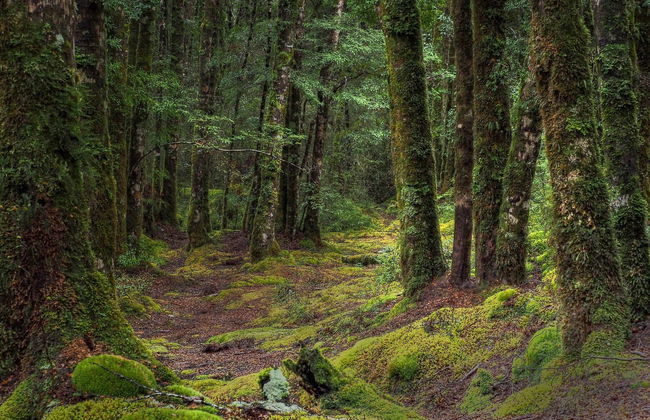 The Lord of the Rings Tour - Photo 6