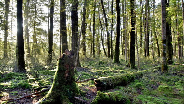 Fiordland National Park
