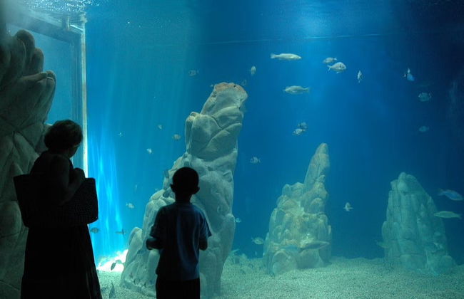 Entrada al Acuario de Cala Gonone - Foto 3