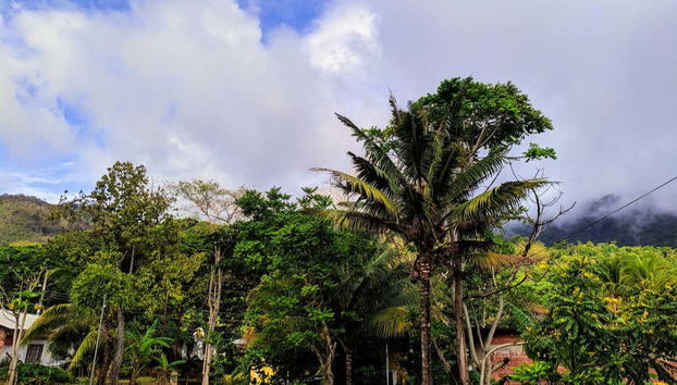 Excursion à Lopinot - Photo 2