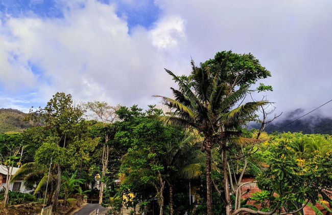 Excursión a Lopinot - Foto 2