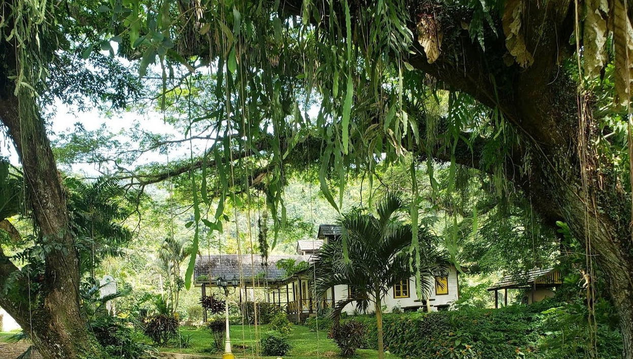 Excursion à Lopinot - Photo 1