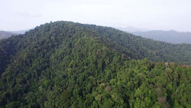 Excursion à Lopinot - Photo 3