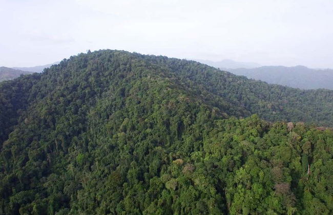 Excursión a Lopinot - Foto 3