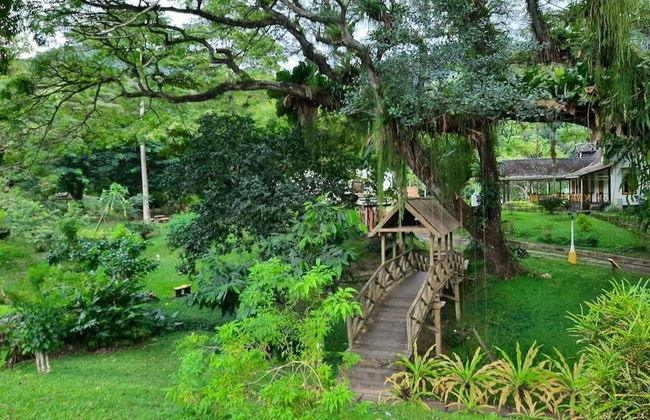 Excursión a Lopinot - Foto 4
