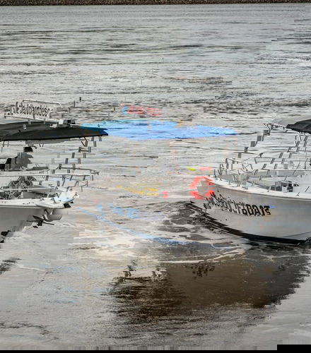 Foto de Paseo en barco por Reversing Falls
