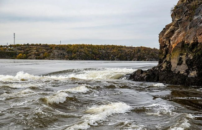 Reversing Falls Rapids Jet Boat Tour - Photo 3