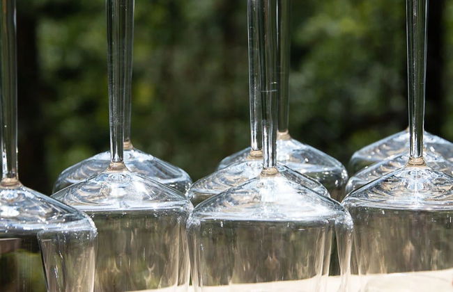 Cata de vinos en el bosque de Espoo - Foto 5