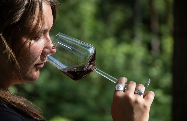 Cata de vinos en el bosque de Espoo - Foto 4