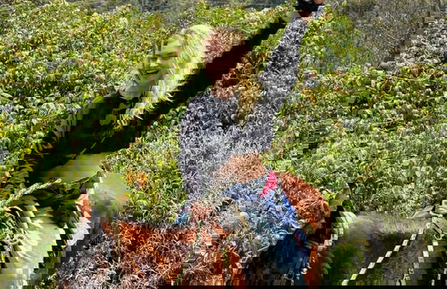 Paseo a caballo o senderismo por las montañas de La Calera - Foto 10