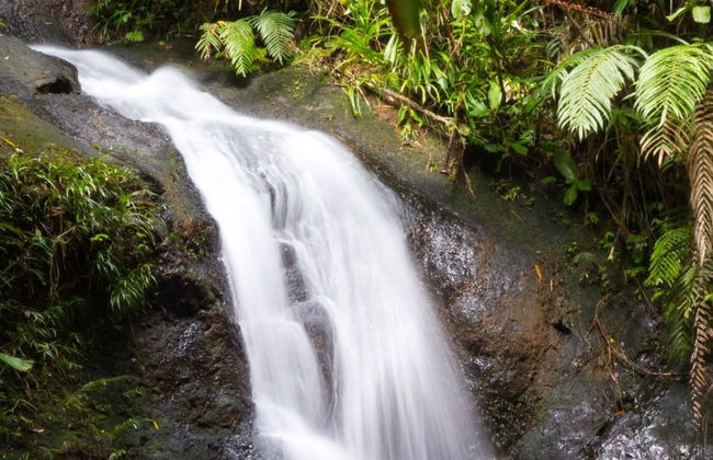 Colo-I-Suva Waterfalls + Nature Tour - Photo 3