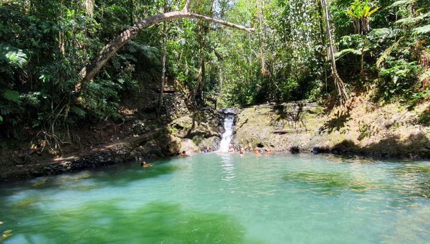 Colo-I-Suva Waterfalls + Nature Tour - Foto 5