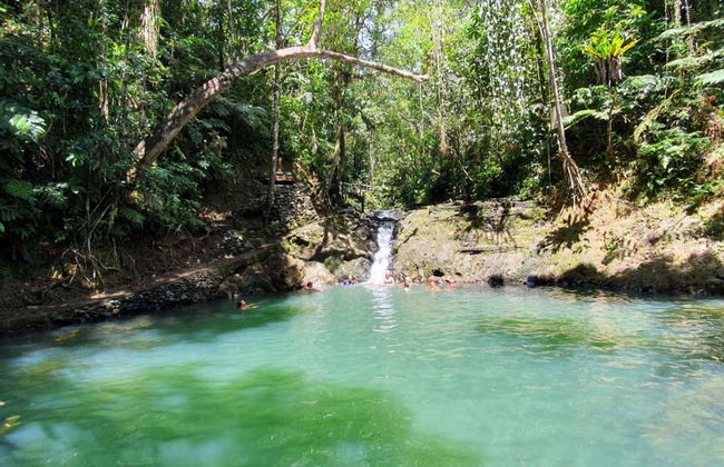 Colo-I-Suva Waterfalls + Nature Tour - Foto 5