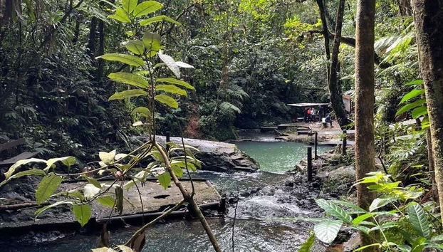 Colo-I-Suva Waterfalls + Nature Tour - Foto 4