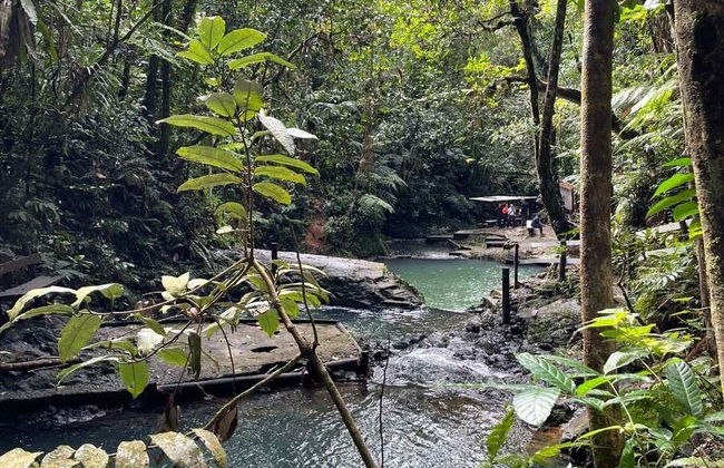 Colo-I-Suva Waterfalls + Nature Tour - Foto 4