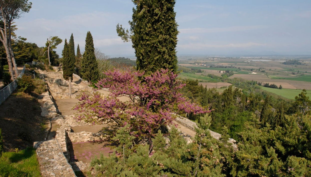 Entrada al yacimiento arqueológico de Ensérune - Foto 1