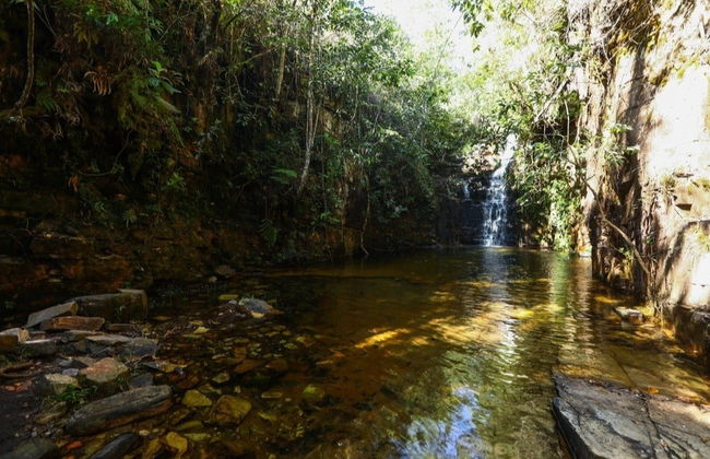 Randonnée aux cascades de Paraíso et Lobo - Photo 5