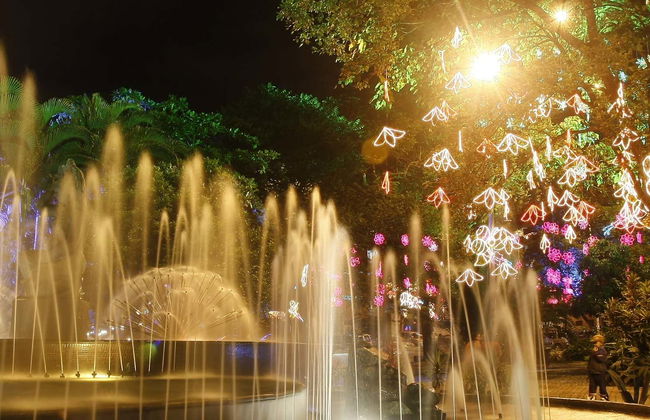 Tour nocturno por la Medellín bohemia - Foto 7