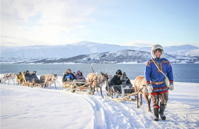 Paseo en trineo de renos y visita a un campamento sami - Foto 2